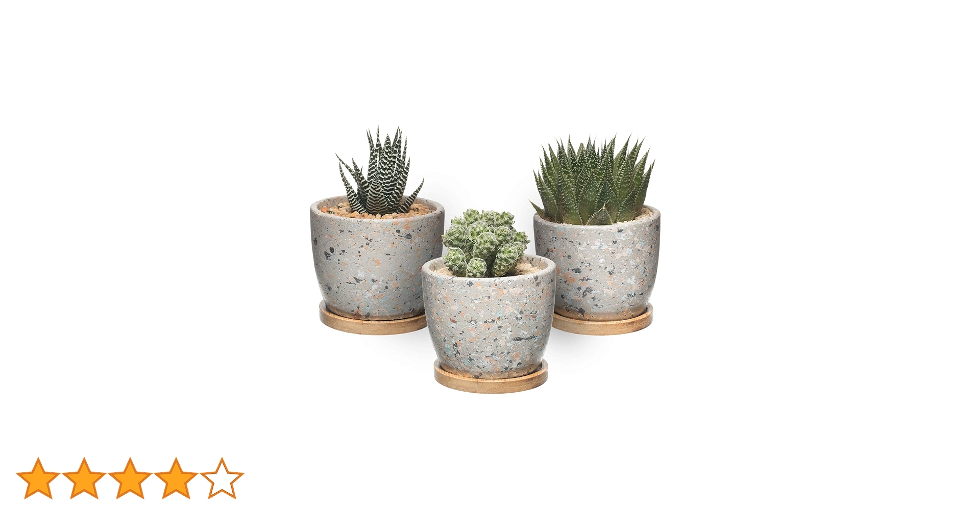 71Zfl--ahDL.jpg_BO30,255,255,